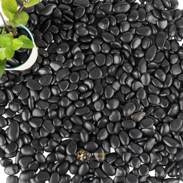 Black River Pebbles